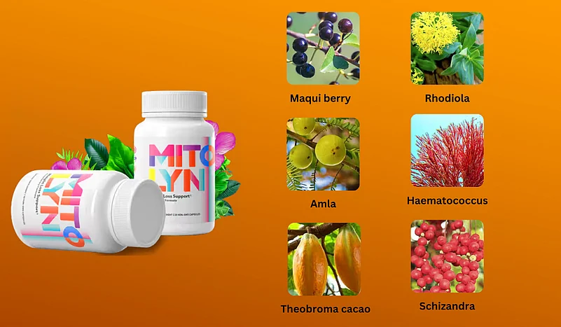 diet for weight loss 
