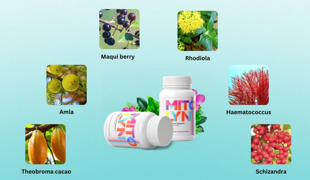 diet foe weight loss
